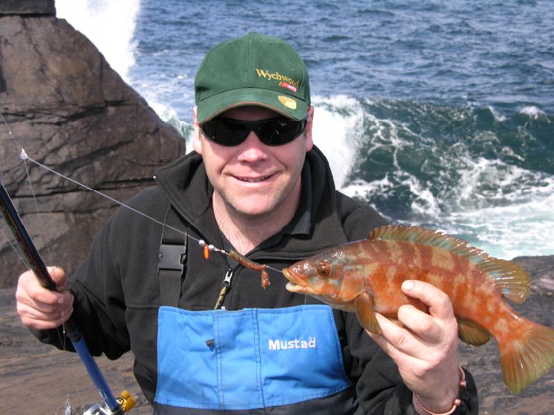 Its wrasse time again